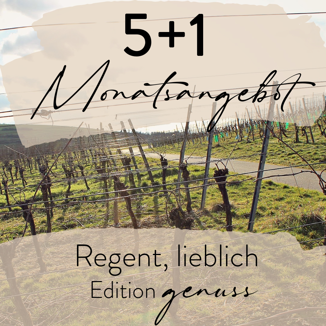 Monatsangebot 5+1 Regent, lieblich