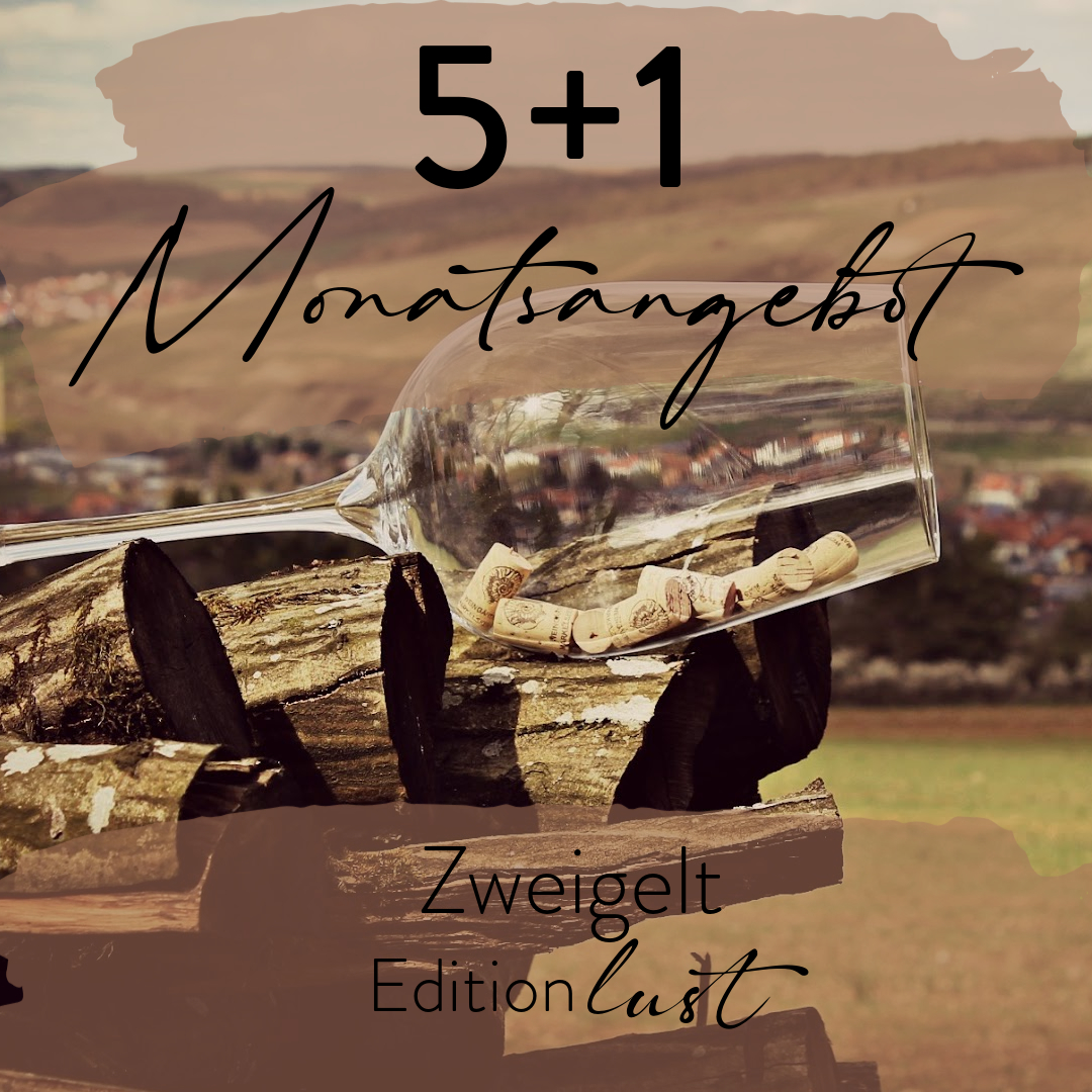 Monatsangebot 5+1 Zweigelt