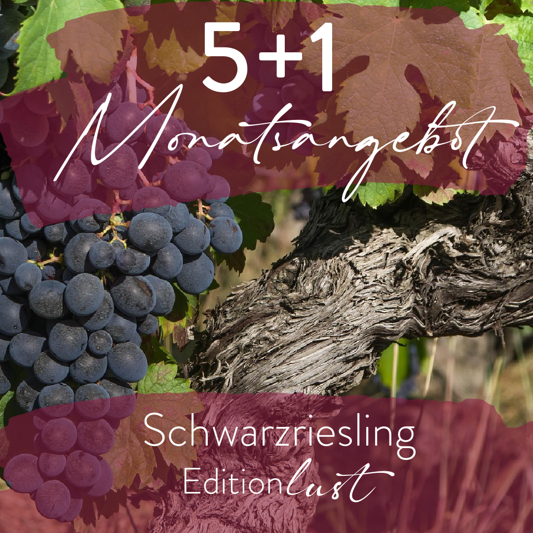 5+1 Monatsangebot Schwarzriesling