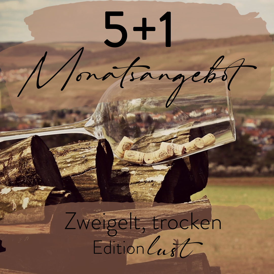 Monatsangebot 5+1 Zweigelt, trocken