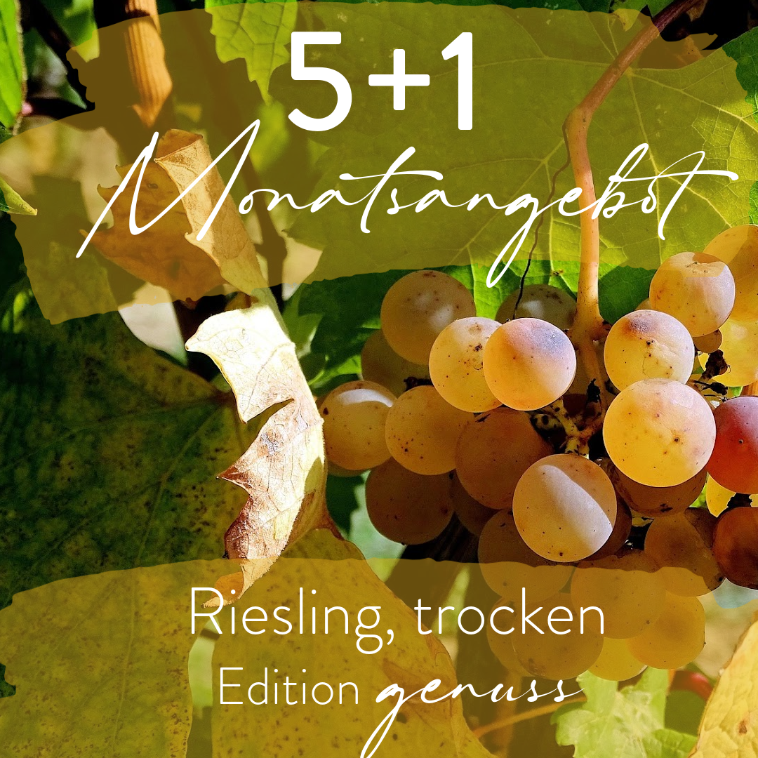 Monatsangebot 5+1 Riesling, trocken