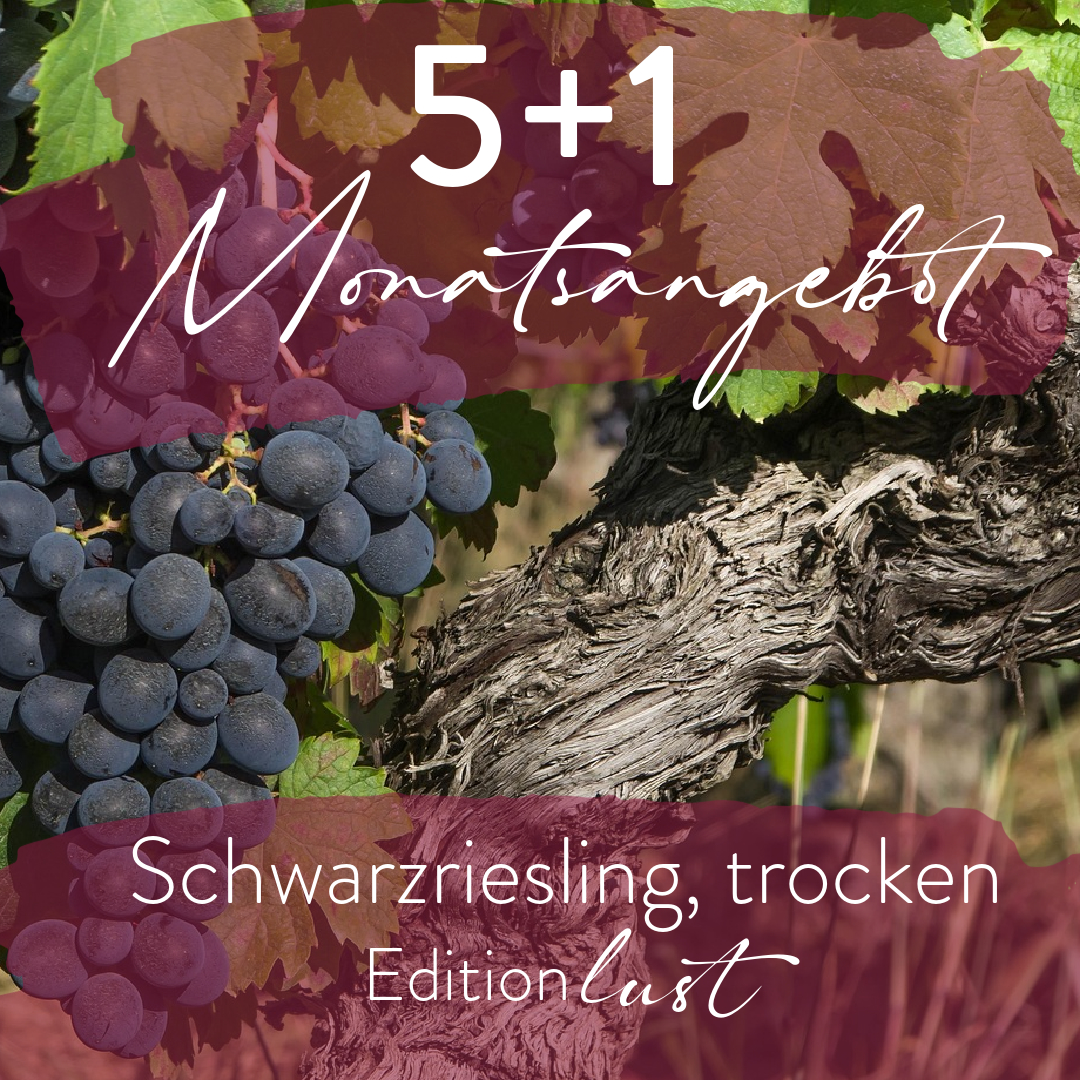 Monatsangebot 5+1 Schwarzriesling, trocken