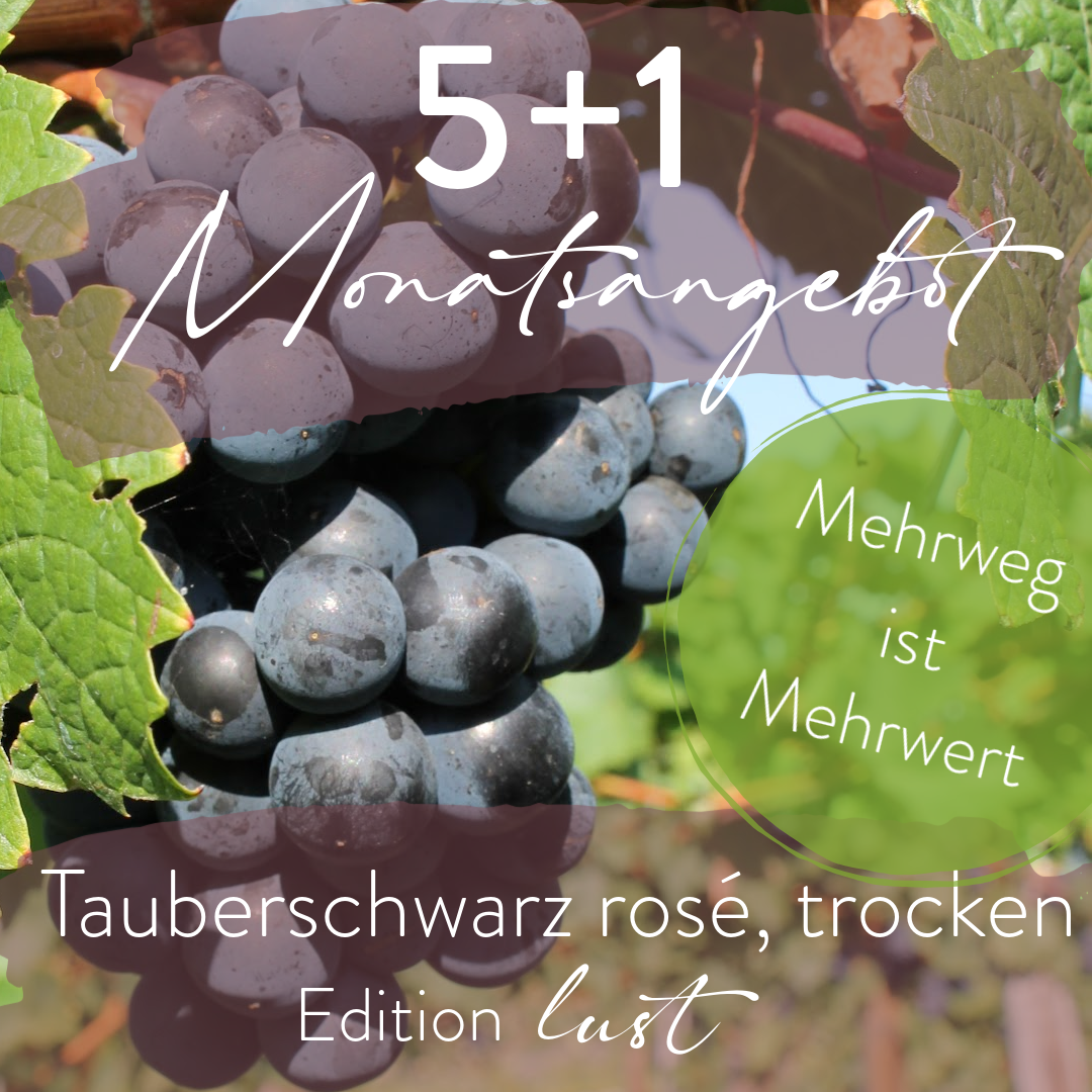 Monatsangebot 5+1 Tauberschwarz rosé, trocken  MW