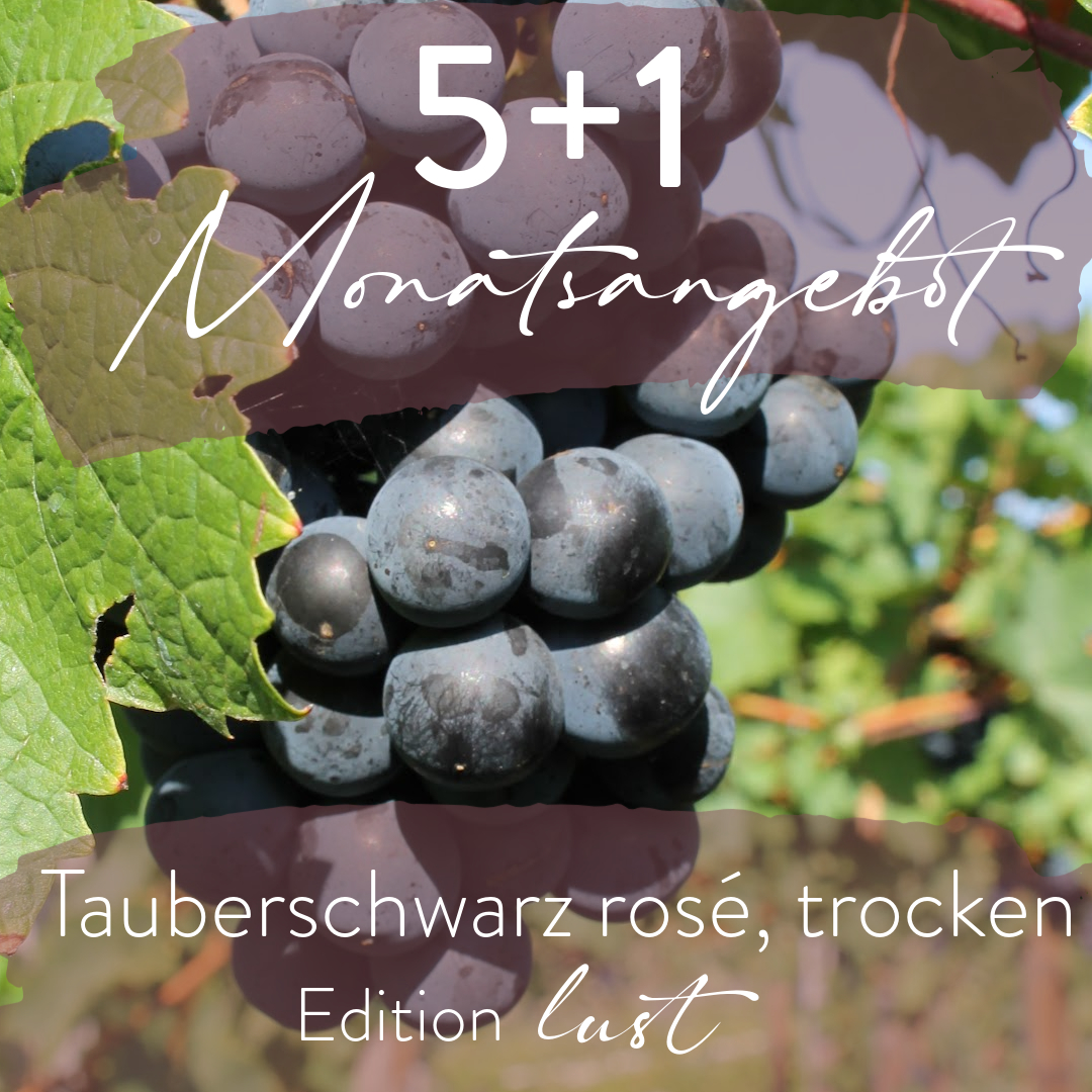 Monatsangebot 5+1 Tauberschwarz rosé, trocken