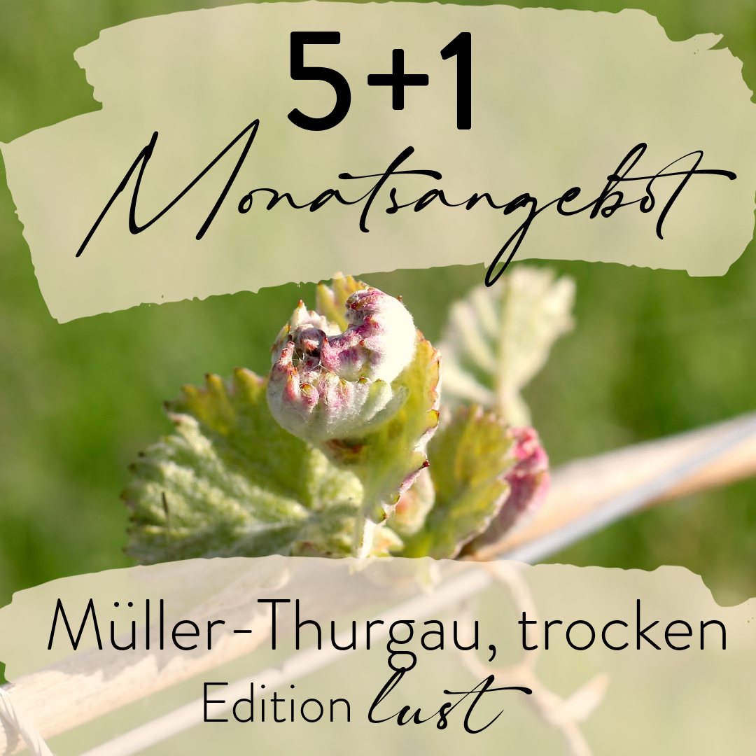 Monatsangebot 5+1 Silvaner, trocken