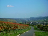 ... und immer einen tollen Blick auf Markelsheim und die Weinberge im Taubertal