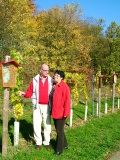 Einfach erklärt und direkt in den Weinbergen zu sehen