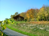 Rasthütte am Weinlehrpfad