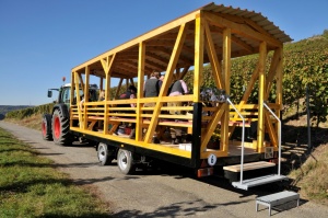 "Gelber Wagen" unterwegs im Weinberg