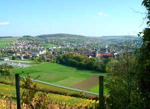 Blick aus den Weinbergen auf Weikersheim